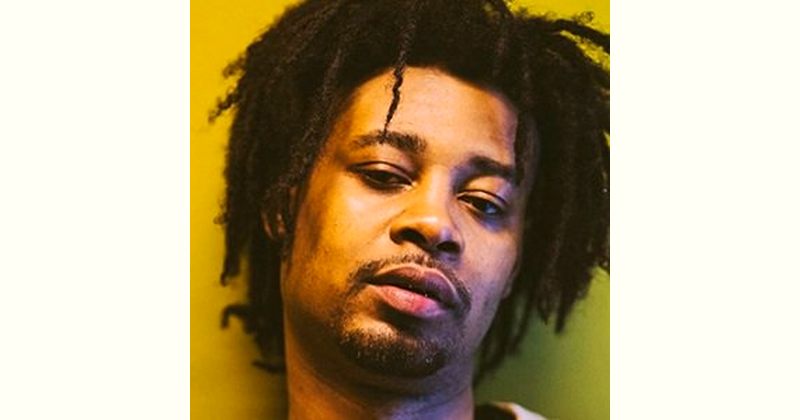 Danny Brown Age and Birthday