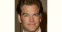 Michael Weatherly Age and Birthday